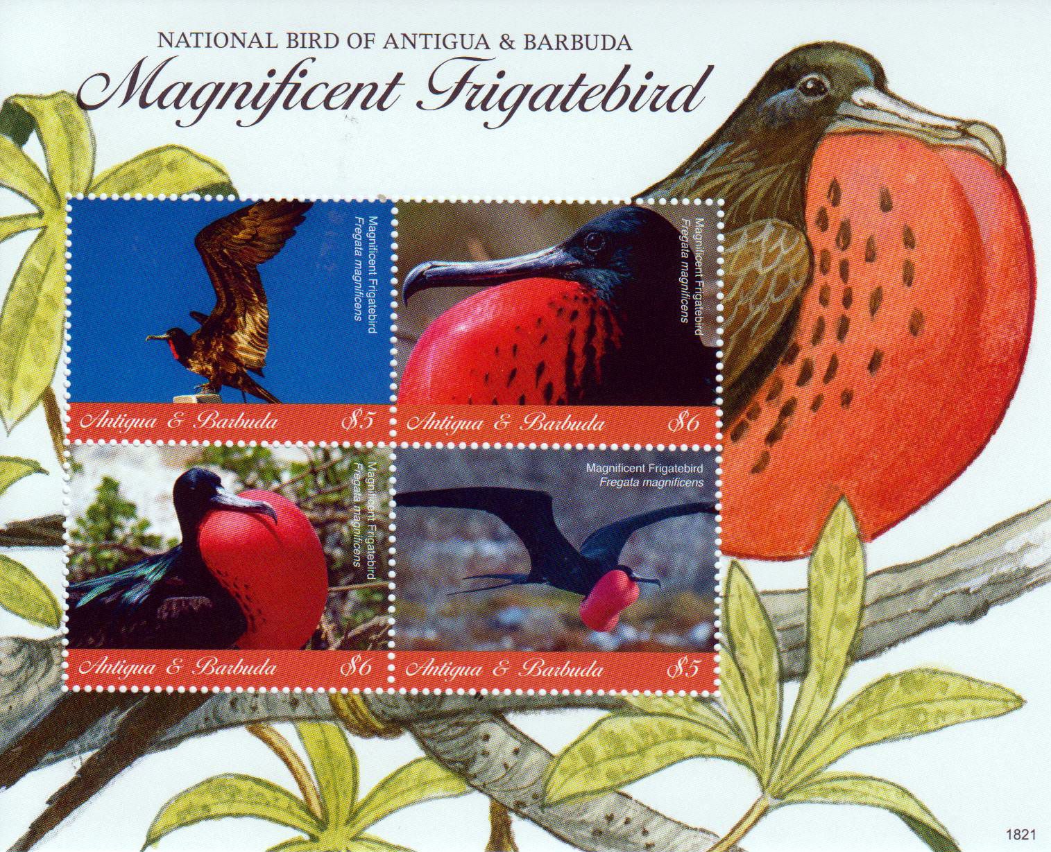 Fregattvogel 2018