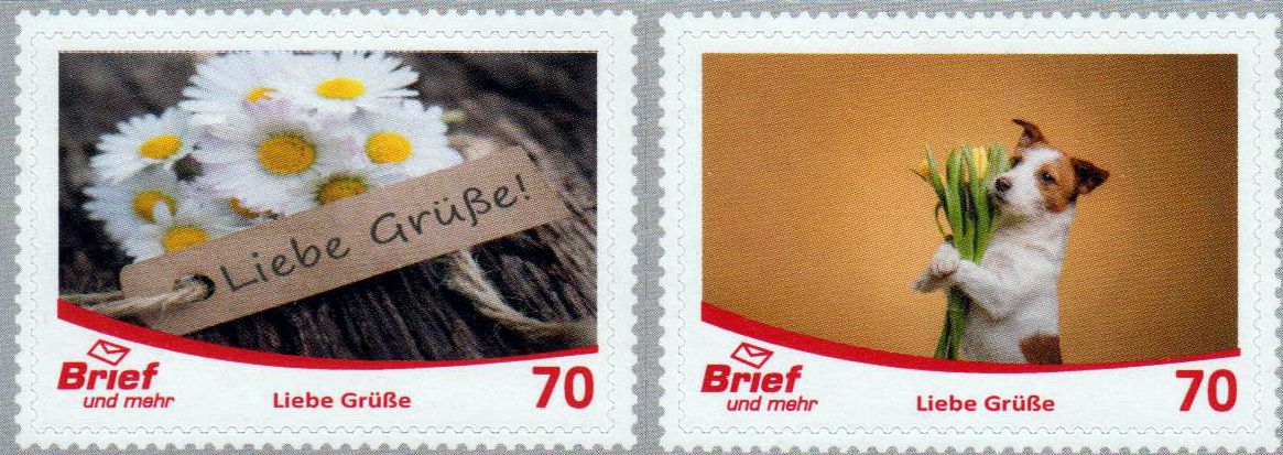 Liebe Grüße 2020, Hund, Blumen