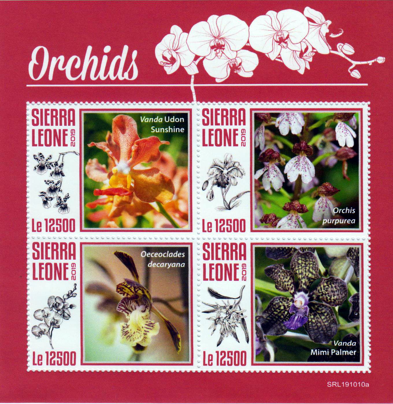 Orchideen 2019