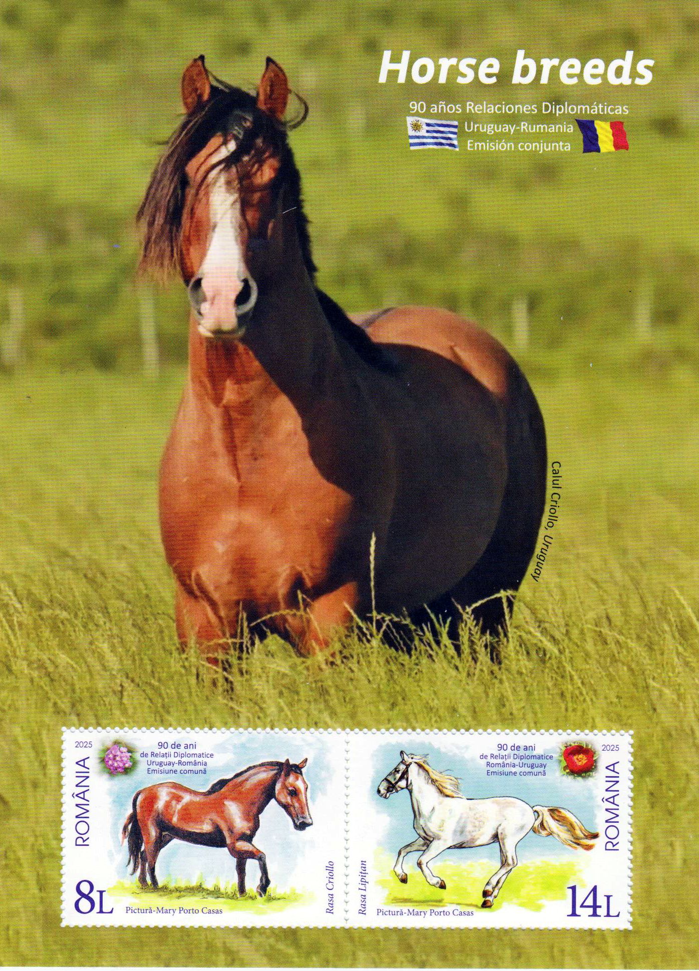 Block: Pferderassen Gem