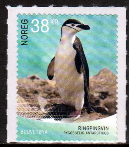 Dauer: Zügelpinguin 2018, sk