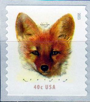 Rotfuchs 2023, sk, von Rolle