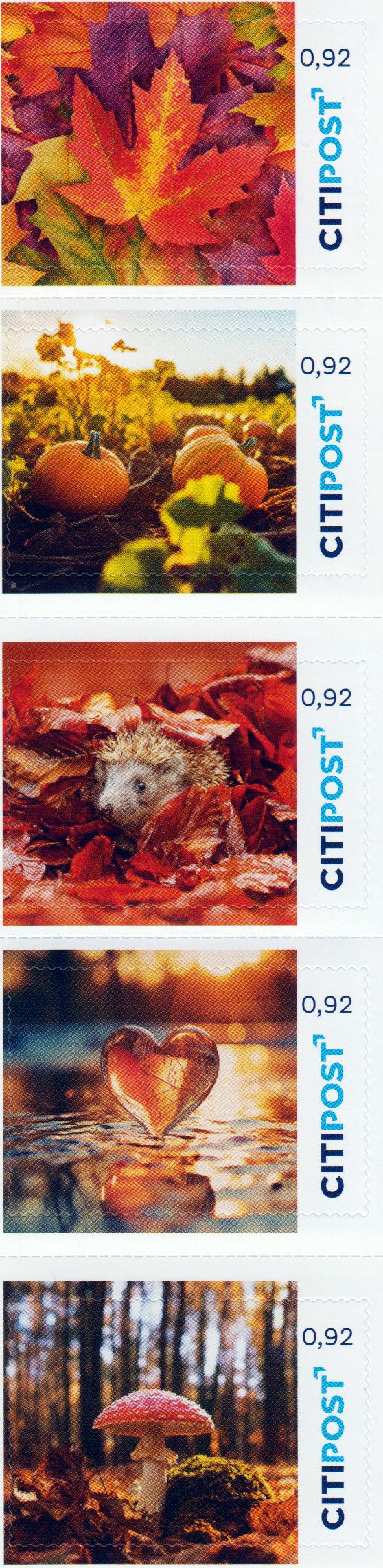 Herbst 2026, sk