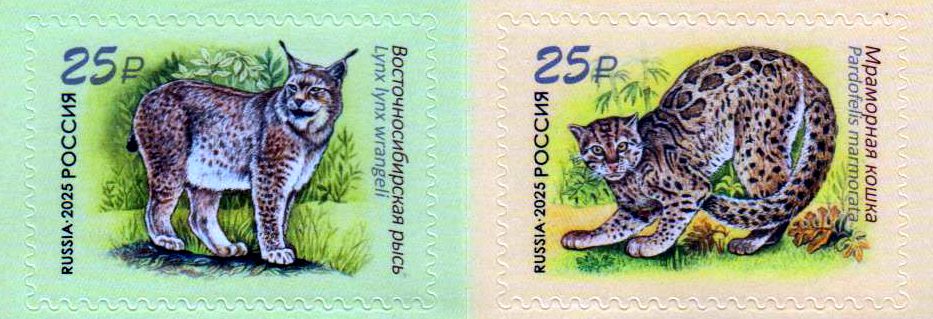 Fauna 2025, sk, Raubkatzen, Laos GA