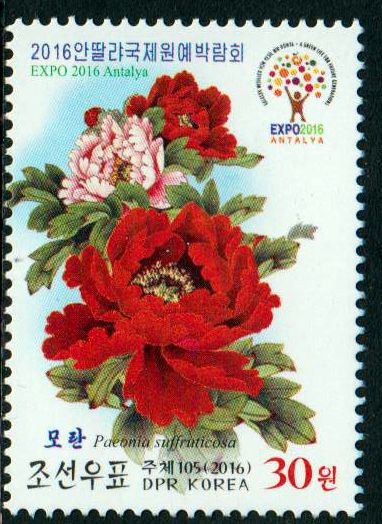 Expo 2016, Antalya, Blume