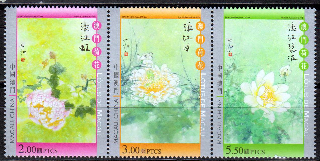 Lotusblumen 2019