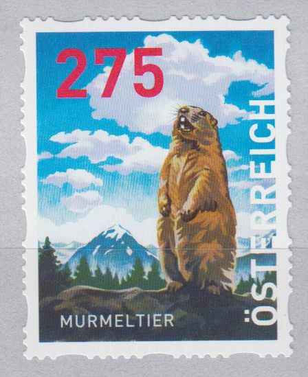 Murmeltier 2020, sk, von Rolle