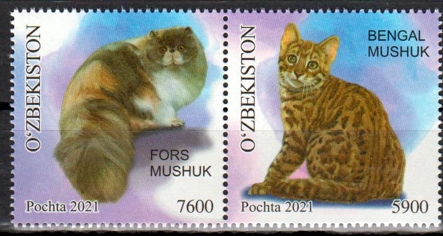 Katzen 2021
