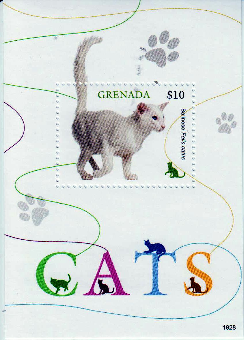 Block: Katzen 2018