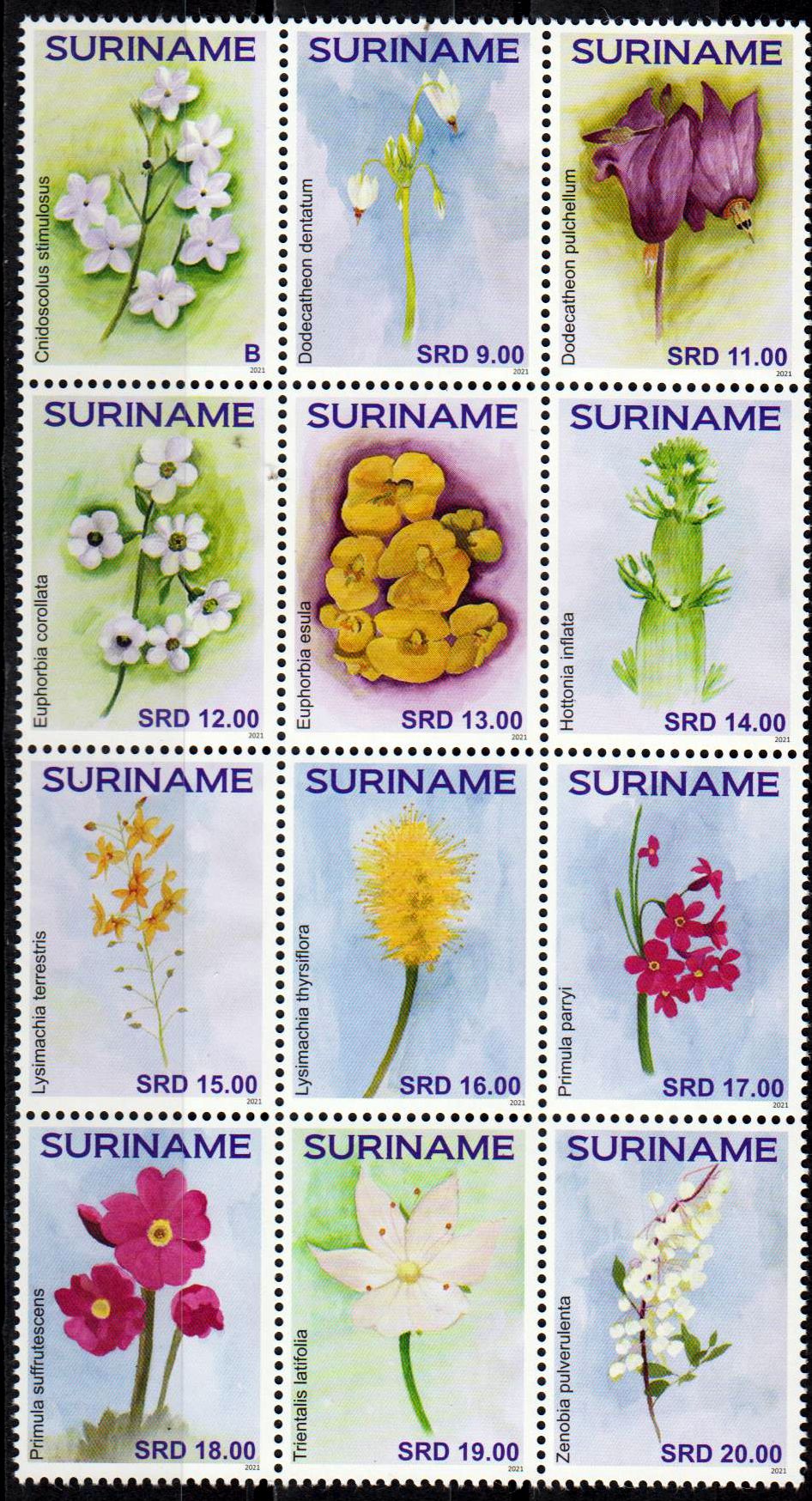 Blumen 2021