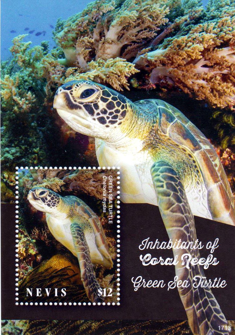 Block: Korallenriff I 2017, Schildkröte
