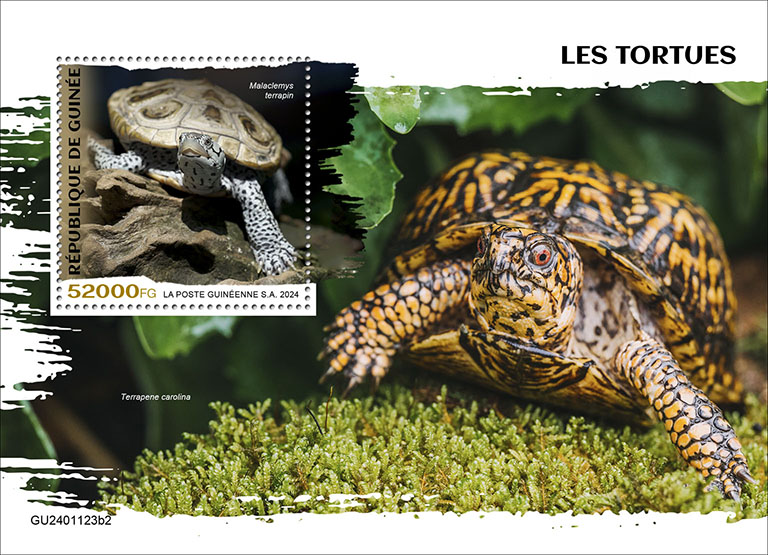 Block: Schildkröten 2024 II