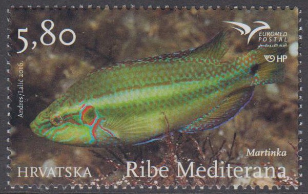 Euromed 2016, Fisch