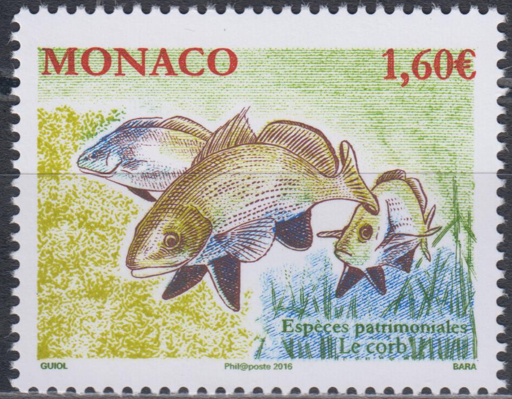 Geschützte Arten, Fische (16P09)