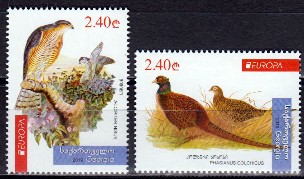 Europa 2019, Vögel