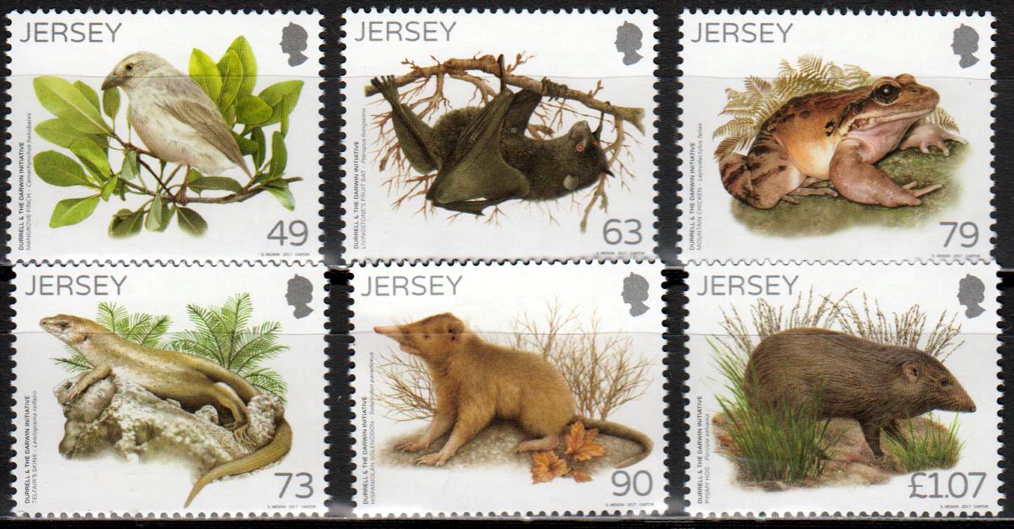 Durrell & Darwin, Frosch, Fledermaus