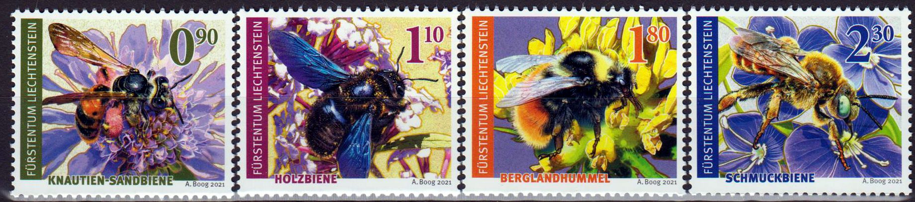 Dauer: Wildbienen 2022
