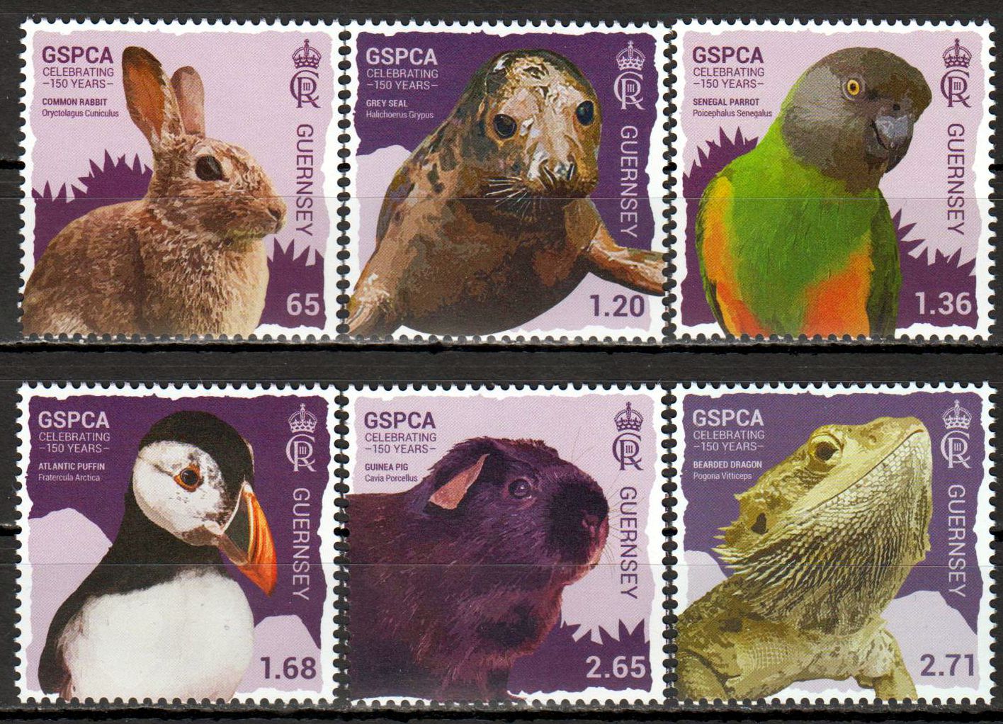 150 Jahre GSPCA 2024, Tiere