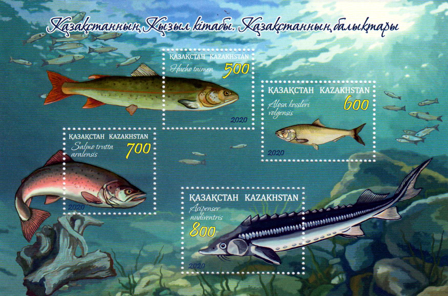 Block: Fische 2020
