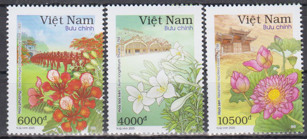 12 Blumenjahreszeiten in Hanoi 2025