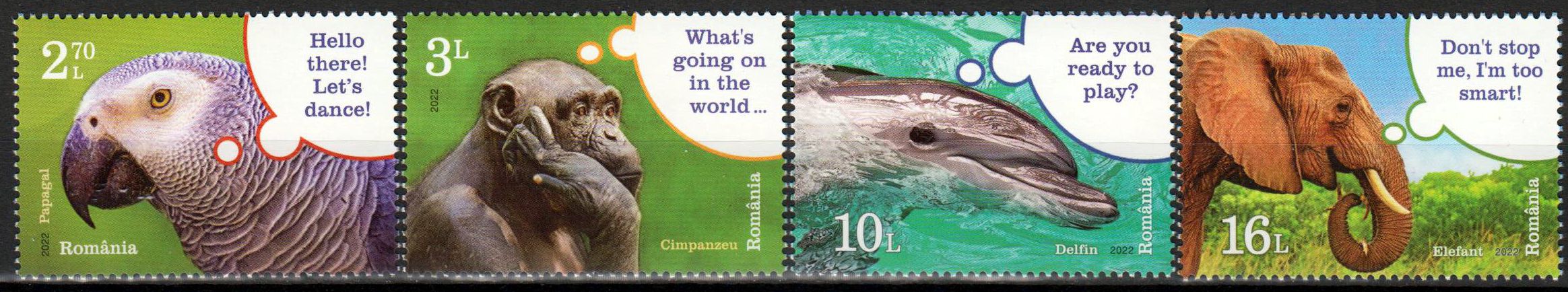 Intelligente Tiere 2022, Elefant, Delfin, Papagei, Affe