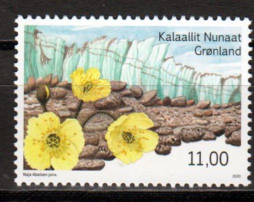 Kältewüsten II 2020