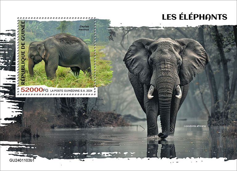 Block: Elefanten 2024 I