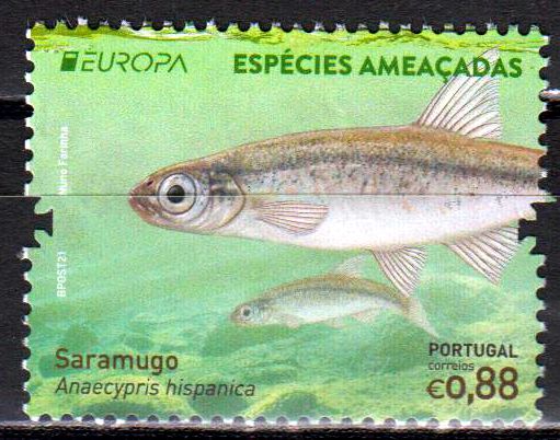 Europa 2021, Fisch