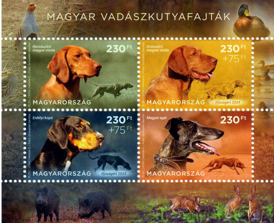 Block: Jagdhunde 2024