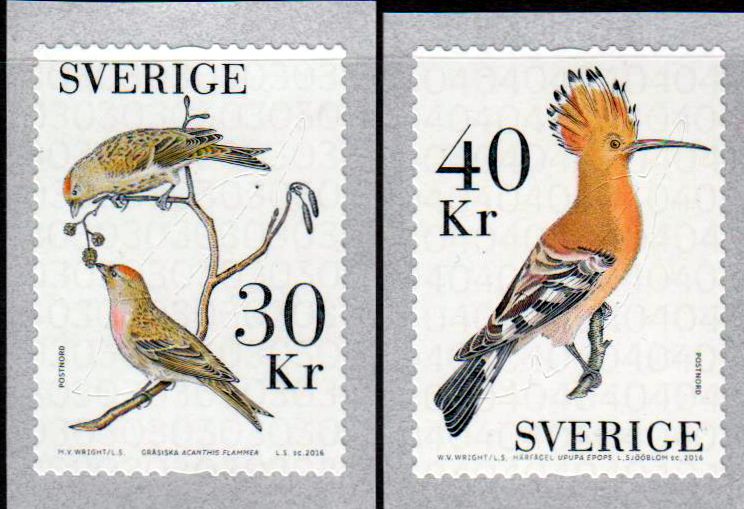Vögel, Birkenzeisig u. Wiedehopf, sk