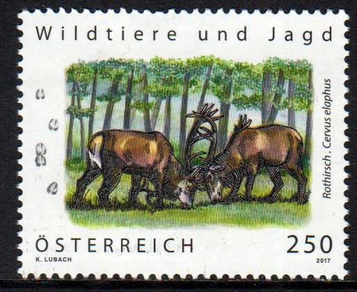 Wildtiere und Jagd, Rothirsch