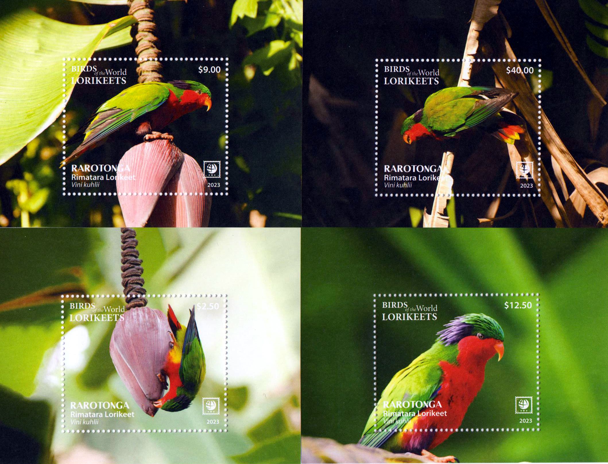 Block: Rarotonga Rimatara Lorikeets 2023