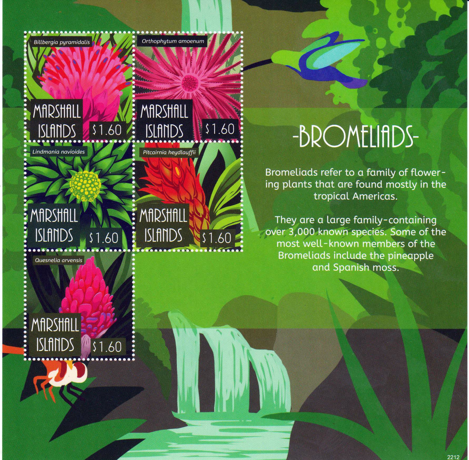 Bromelien 2022