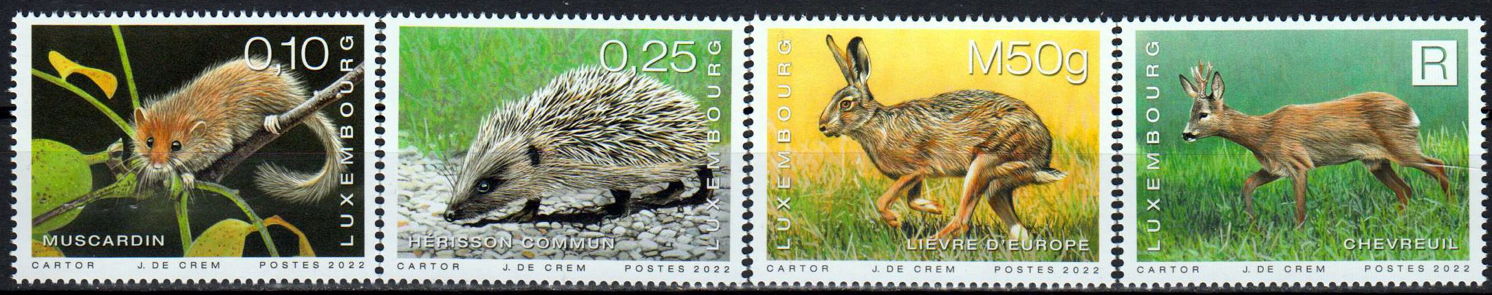 Säugetiere in Luxemburg, Hase, Igel, Reh, Maus