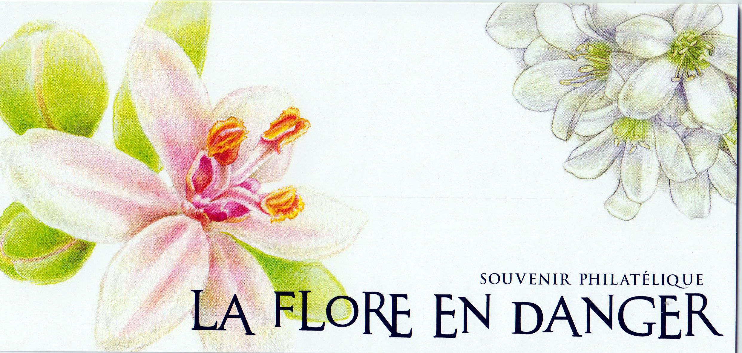 Block: Flora Souvenir, Blumen